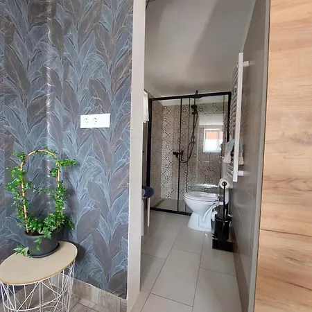 Case de vacanță Laurus Vendeghaz *