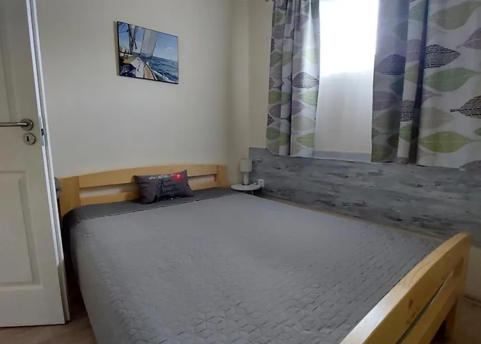 Laurus Vendeghaz Lovas